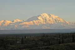 Denali Sunset